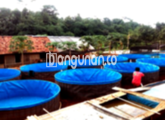 Jual Kolam Terpal di Wonosobo